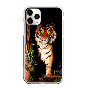 Чехол для iPhone 11 Pro матовый с принтом Тигр в Петрозаводске, Силикон |  | Тематика изображения на принте: дикая кошка | лес | природа | тигр | хищник