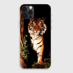 Чехол для iPhone 12 Pro Max с принтом Тигр в Петрозаводске, Силикон |  | Тематика изображения на принте: дикая кошка | лес | природа | тигр | хищник