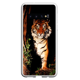 Чехол для Samsung Galaxy S10 с принтом Тигр в Петрозаводске, Силикон | Область печати: задняя сторона чехла, без боковых панелей | Тематика изображения на принте: дикая кошка | лес | природа | тигр | хищник