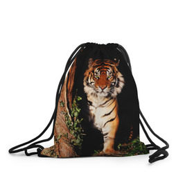 Рюкзак-мешок 3D с принтом Тигр в Петрозаводске, 100% полиэстер | плотность ткани — 200 г/м2, размер — 35 х 45 см; лямки — толстые шнурки, застежка на шнуровке, без карманов и подкладки | Тематика изображения на принте: дикая кошка | лес | природа | тигр | хищник