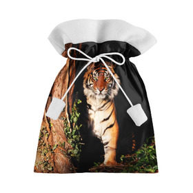 Подарочный 3D мешок с принтом Тигр в Петрозаводске, 100% полиэстер | Размер: 29*39 см | дикая кошка | лес | природа | тигр | хищник