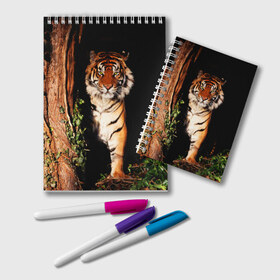 Блокнот с принтом Тигр в Петрозаводске, 100% бумага | 48 листов, плотность листов — 60 г/м2, плотность картонной обложки — 250 г/м2. Листы скреплены удобной пружинной спиралью. Цвет линий — светло-серый
 | Тематика изображения на принте: дикая кошка | лес | природа | тигр | хищник