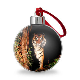Ёлочный шар с принтом Тигр в Петрозаводске, Пластик | Диаметр: 77 мм | дикая кошка | лес | природа | тигр | хищник