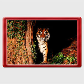 Магнит 45*70 с принтом Тигр в Петрозаводске, Пластик | Размер: 78*52 мм; Размер печати: 70*45 | дикая кошка | лес | природа | тигр | хищник