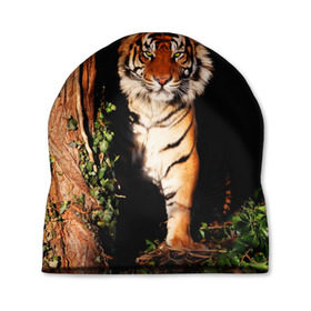 Шапка 3D с принтом Тигр в Петрозаводске, 100% полиэстер | универсальный размер, печать по всей поверхности изделия | дикая кошка | лес | природа | тигр | хищник