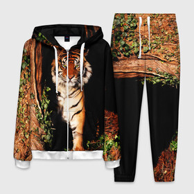 Мужской костюм 3D с принтом Тигр в Петрозаводске, 100% полиэстер | Манжеты и пояс оформлены тканевой резинкой, двухслойный капюшон со шнурком для регулировки, карманы спереди | Тематика изображения на принте: дикая кошка | лес | природа | тигр | хищник