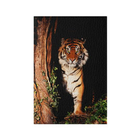 Обложка для паспорта матовая кожа с принтом Тигр в Петрозаводске, натуральная матовая кожа | размер 19,3 х 13,7 см; прозрачные пластиковые крепления | дикая кошка | лес | природа | тигр | хищник
