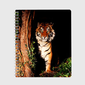 Тетрадь с принтом Тигр в Петрозаводске, 100% бумага | 48 листов, плотность листов — 60 г/м2, плотность картонной обложки — 250 г/м2. Листы скреплены сбоку удобной пружинной спиралью. Уголки страниц и обложки скругленные. Цвет линий — светло-серый
 | Тематика изображения на принте: дикая кошка | лес | природа | тигр | хищник
