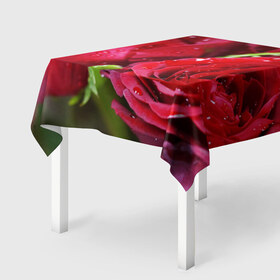 Скатерть 3D с принтом Цветы в Петрозаводске, 100% полиэстер (ткань не мнется и не растягивается) | Размер: 150*150 см | бабочки | весна | краски | лето | осень | розы | цветок | цветы