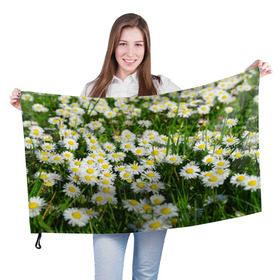 Флаг 3D с принтом Ромашки 2 в Петрозаводске, 100% полиэстер | плотность ткани — 95 г/м2, размер — 67 х 109 см. Принт наносится с одной стороны | лепестки | прикольные картинки | ромашки | цветочки | цветы