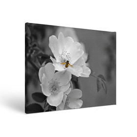 Холст прямоугольный с принтом Пчела на цветах в Петрозаводске, 100% ПВХ |  | лепестки | цветы