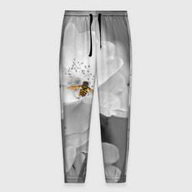 Мужские брюки 3D с принтом Пчела на цветах в Петрозаводске, 100% полиэстер | манжеты по низу, эластичный пояс регулируется шнурком, по бокам два кармана без застежек, внутренняя часть кармана из мелкой сетки | лепестки | цветы