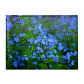 Обложка для студенческого билета с принтом Синие цветы в Петрозаводске, натуральная кожа | Размер: 11*8 см; Печать на всей внешней стороне | лепестки | прикольные картинки | цветочки | цветы