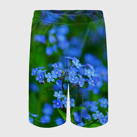 Детские спортивные шорты 3D с принтом Синие цветы в Петрозаводске,  100% полиэстер
 | пояс оформлен широкой мягкой резинкой, ткань тянется
 | лепестки | прикольные картинки | цветочки | цветы