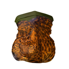 Бандана-труба 3D с принтом Дальневосточный леопард в Петрозаводске, 100% полиэстер, ткань с особыми свойствами — Activecool | плотность 150‒180 г/м2; хорошо тянется, но сохраняет форму | Тематика изображения на принте: 