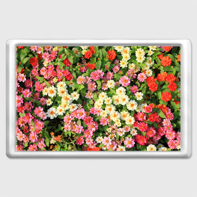 Магнит 45*70 с принтом Весеннее настроение в Петрозаводске, Пластик | Размер: 78*52 мм; Размер печати: 70*45 | аромат | букет | вазон | великолепие | краски | красота | куст | луг | полевые цветы | полянка | природа | растения | розы | ромашки | тюльпаны | украшение | фауна | цветник | цветок | цветочек | цветы