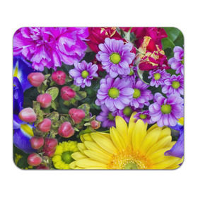 Коврик прямоугольный с принтом Роскошные цветы в Петрозаводске, натуральный каучук | размер 230 х 185 мм; запечатка лицевой стороны | аромат | астры | букет | вазон | великолепие | гвоздики | гиацинт | гортензия | калла | краски | красота | куст | лилия | орхидея | пион | подсолнух | полевые цветы | природа | растения | розы | ромашки