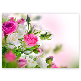 Поздравительная открытка с принтом Алые розы в Петрозаводске, 100% бумага | плотность бумаги 280 г/м2, матовая, на обратной стороне линовка и место для марки
 | аромат | букет | вазон | великолепие | краски | красота | куст | нежность | природа | растения | розы | украшение | фауна | цветник | цветы