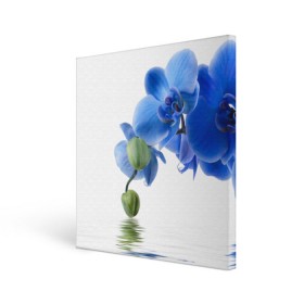 Холст квадратный с принтом Веточка орхидеи в Петрозаводске, 100% ПВХ |  | ветка | красота | нежность | орхидея | природа | растение | фауна | цветок | цветы