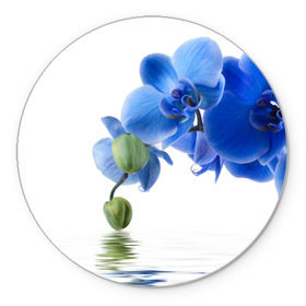 Коврик круглый с принтом Веточка орхидеи в Петрозаводске, резина и полиэстер | круглая форма, изображение наносится на всю лицевую часть | ветка | красота | нежность | орхидея | природа | растение | фауна | цветок | цветы