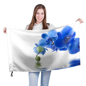 Флаг 3D с принтом Веточка орхидеи в Петрозаводске, 100% полиэстер | плотность ткани — 95 г/м2, размер — 67 х 109 см. Принт наносится с одной стороны | ветка | красота | нежность | орхидея | природа | растение | фауна | цветок | цветы