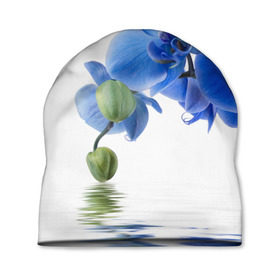 Шапка 3D с принтом Веточка орхидеи в Петрозаводске, 100% полиэстер | универсальный размер, печать по всей поверхности изделия | Тематика изображения на принте: ветка | красота | нежность | орхидея | природа | растение | фауна | цветок | цветы