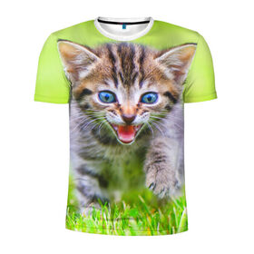 Мужская футболка 3D спортивная с принтом Кися в Петрозаводске, 100% полиэстер с улучшенными характеристиками | приталенный силуэт, круглая горловина, широкие плечи, сужается к линии бедра | домашние | животные | кот | котёнок | кошка | милый