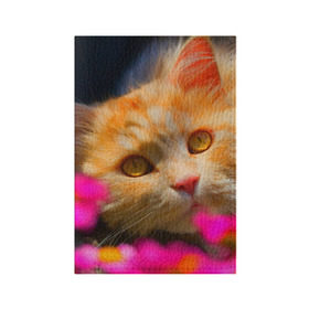 Обложка для паспорта матовая кожа с принтом Кошечка в Петрозаводске, натуральная матовая кожа | размер 19,3 х 13,7 см; прозрачные пластиковые крепления | Тематика изображения на принте: животные | кот | кошка | милая | рыжий