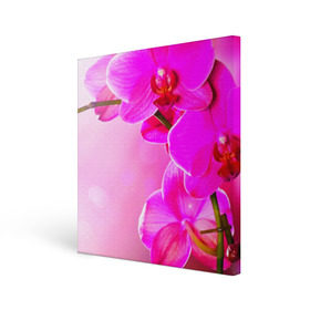 Холст квадратный с принтом Орхидея в Петрозаводске, 100% ПВХ |  | лепесток | новая | орхидея | природа | цветок | яркая