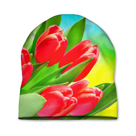Шапка 3D с принтом Тюльпаны в Петрозаводске, 100% полиэстер | универсальный размер, печать по всей поверхности изделия | Тематика изображения на принте: краснык | природа | тюльпан | цветок