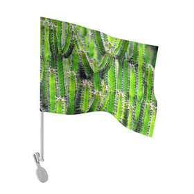 Флаг для автомобиля с принтом Кактус в Петрозаводске, 100% полиэстер | Размер: 30*21 см | кактус | колючки | прикольные картинки | природа | цветочки | цветы