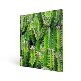 Холст квадратный с принтом Кактус в Петрозаводске, 100% ПВХ |  | кактус | колючки | прикольные картинки | природа | цветочки | цветы