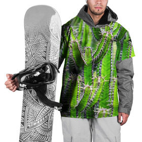 Накидка на куртку 3D с принтом Кактус в Петрозаводске, 100% полиэстер |  | Тематика изображения на принте: кактус | колючки | прикольные картинки | природа | цветочки | цветы
