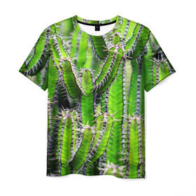 Мужская футболка 3D с принтом Кактус в Петрозаводске, 100% полиэфир | прямой крой, круглый вырез горловины, длина до линии бедер | Тематика изображения на принте: кактус | колючки | прикольные картинки | природа | цветочки | цветы