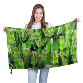 Флаг 3D с принтом Кактус в Петрозаводске, 100% полиэстер | плотность ткани — 95 г/м2, размер — 67 х 109 см. Принт наносится с одной стороны | кактус | колючки | прикольные картинки | природа | цветочки | цветы