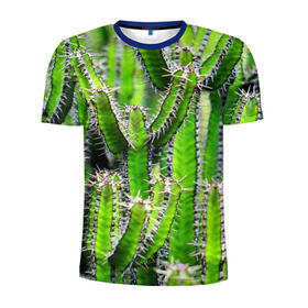 Мужская футболка 3D спортивная с принтом Кактус в Петрозаводске, 100% полиэстер с улучшенными характеристиками | приталенный силуэт, круглая горловина, широкие плечи, сужается к линии бедра | кактус | колючки | прикольные картинки | природа | цветочки | цветы