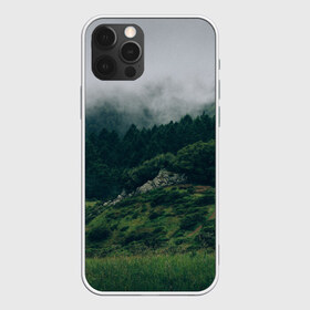 Чехол для iPhone 12 Pro Max с принтом Лес в Петрозаводске, Силикон |  | зелень | лес | природа
