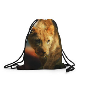 Рюкзак-мешок 3D с принтом Львица в Петрозаводске, 100% полиэстер | плотность ткани — 200 г/м2, размер — 35 х 45 см; лямки — толстые шнурки, застежка на шнуровке, без карманов и подкладки | Тематика изображения на принте: lion | голова животного | дикая кошка | кот | лев | цвет