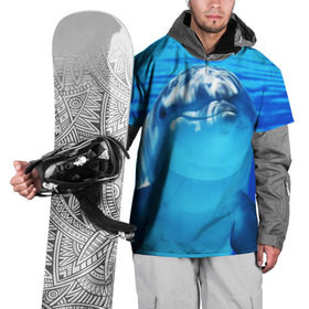 Накидка на куртку 3D с принтом Дельфин в Петрозаводске, 100% полиэстер |  | вода | дельфин | море | отдых | отпуск | подводный мир | туризм