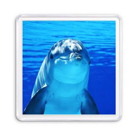 Магнит 55*55 с принтом Дельфин в Петрозаводске, Пластик | Размер: 65*65 мм; Размер печати: 55*55 мм | Тематика изображения на принте: вода | дельфин | море | отдых | отпуск | подводный мир | туризм
