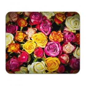 Коврик прямоугольный с принтом Букет роз в Петрозаводске, натуральный каучук | размер 230 х 185 мм; запечатка лицевой стороны | жёлтый | красный | лепестки | прикольные картинки | розы | цветочки | цветы