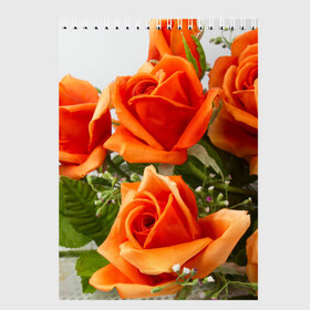 Скетчбук с принтом Розы в Петрозаводске, 100% бумага
 | 48 листов, плотность листов — 100 г/м2, плотность картонной обложки — 250 г/м2. Листы скреплены сверху удобной пружинной спиралью | Тематика изображения на принте: бабочки | весна | краски | лето | осень | розы | цветок | цветы