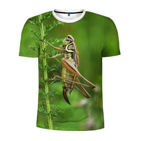 Мужская футболка 3D спортивная с принтом Кузнечик в Петрозаводске, 100% полиэстер с улучшенными характеристиками | приталенный силуэт, круглая горловина, широкие плечи, сужается к линии бедра | насекомые. кузнечик | природа | стебель