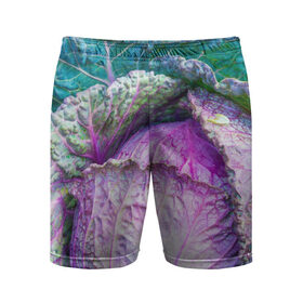 Мужские шорты 3D спортивные с принтом Капуста в Петрозаводске,  |  | Тематика изображения на принте: дача | еда | зелень | капуста | овощи | огород | растения | цветная капуста