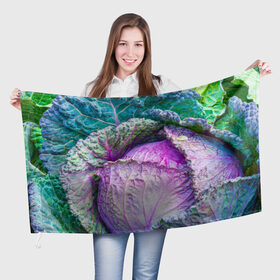 Флаг 3D с принтом Капуста в Петрозаводске, 100% полиэстер | плотность ткани — 95 г/м2, размер — 67 х 109 см. Принт наносится с одной стороны | дача | еда | зелень | капуста | овощи | огород | растения | цветная капуста