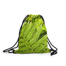 Рюкзак-мешок 3D с принтом Папоротник в Петрозаводске, 100% полиэстер | плотность ткани — 200 г/м2, размер — 35 х 45 см; лямки — толстые шнурки, застежка на шнуровке, без карманов и подкладки | ботаника | зелень | листья | папоротник | природа | растения | цветок