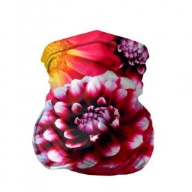 Бандана-труба 3D с принтом Яркие цветы в Петрозаводске, 100% полиэстер, ткань с особыми свойствами — Activecool | плотность 150‒180 г/м2; хорошо тянется, но сохраняет форму | красный | лепестки | прикольные картинки | цветочки | цветы