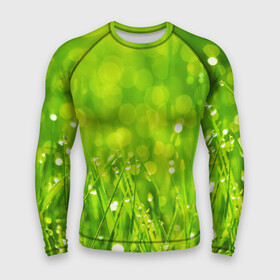 Мужской рашгард 3D с принтом Роса на траве в Петрозаводске,  |  | зелёный | зелень | луг | роса | яркий
