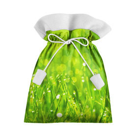 Подарочный 3D мешок с принтом Роса на траве в Петрозаводске, 100% полиэстер | Размер: 29*39 см | зелёный | зелень | луг | роса | яркий