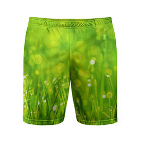Мужские шорты 3D спортивные с принтом Роса на траве в Петрозаводске,  |  | зелёный | зелень | луг | роса | яркий